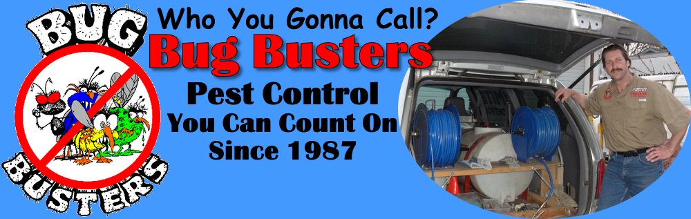 Bug Busters