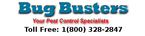 Bug Busters Pest Control